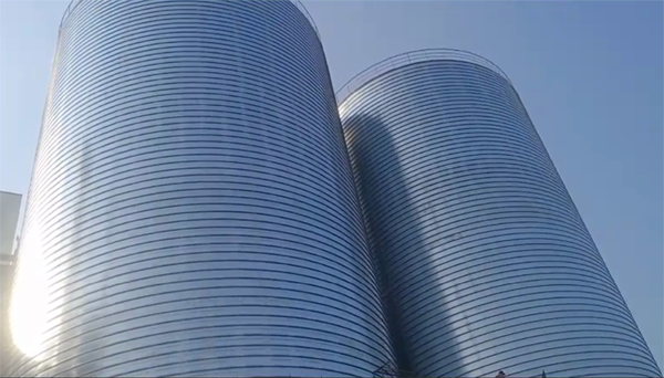 弥勒2座混凝土高架卷板仓